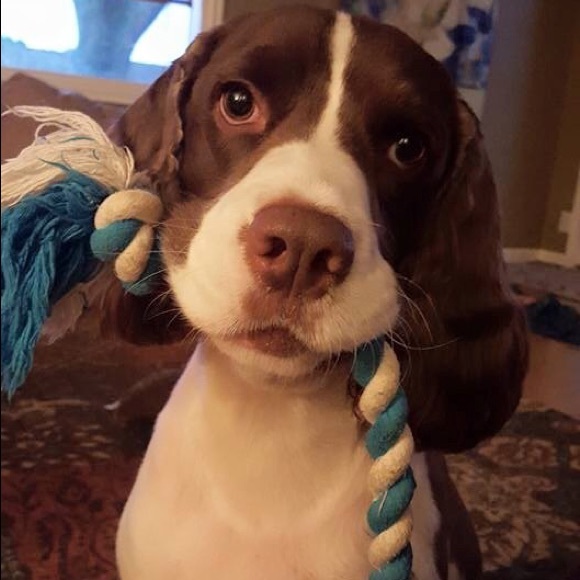 Meet your Posher, Nina - Picture 2 of 3